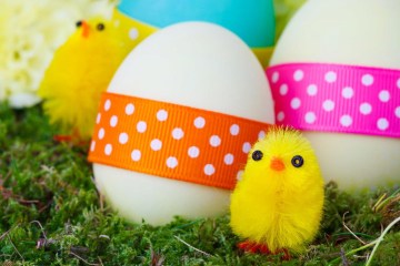 Easter eggs with ribbons with polka dots on the them and little fuzzy decoration chicks on moss